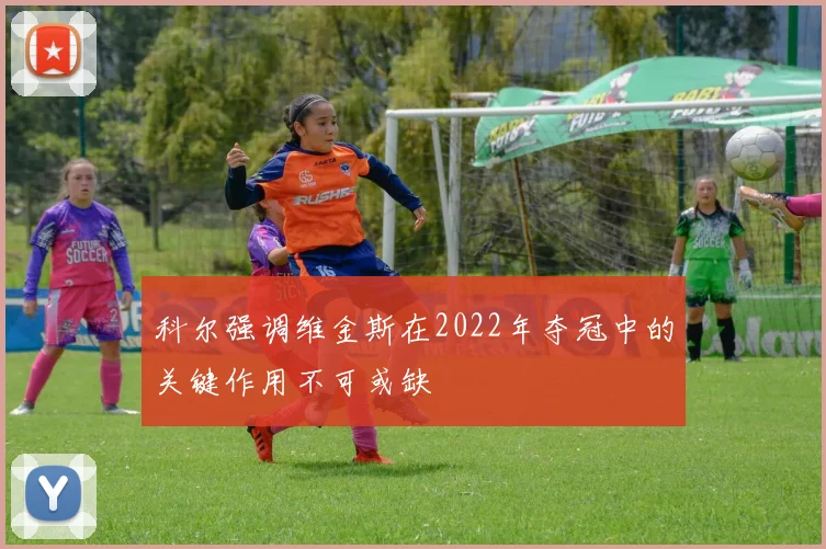 科尔强调维金斯在2022年夺冠中的关键作用不可或缺
